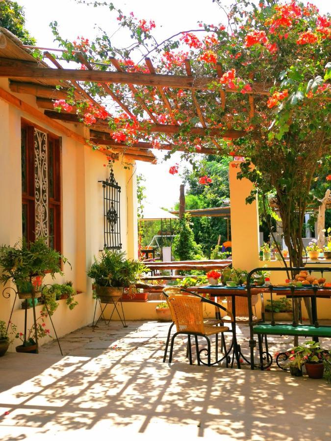 Luchy'S Country House Ica Exterior photo