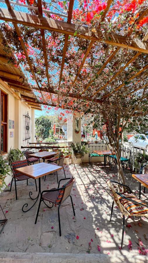 Luchy'S Country House Ica Exterior photo